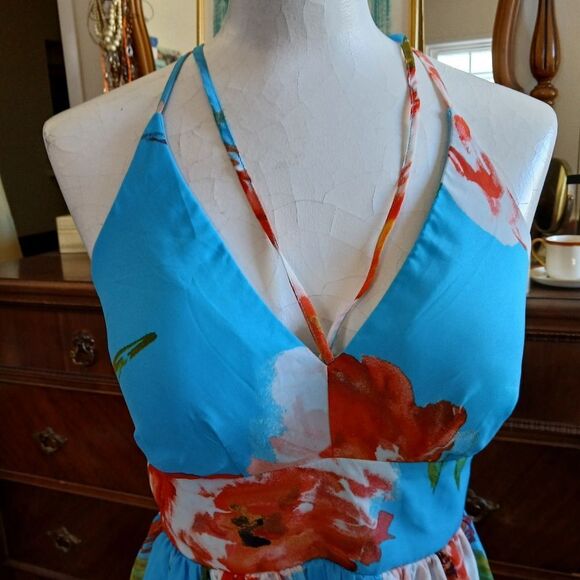 Bisou Bisou Chiffon Maxi Dress Size 2 - Picture 3 of 8